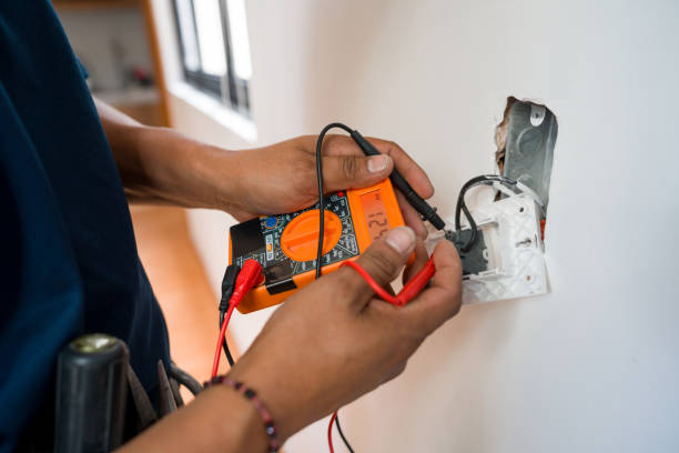 Best Electric Panel Repair  in Bloomingdale, TN